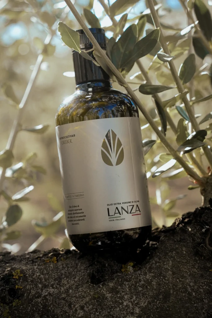 Bottiglia di olio extravergine Ortice Lanza su ramo di ulivo